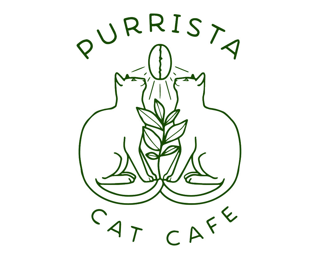 Erie's First Cat Cafe in Downtown Erie, PA