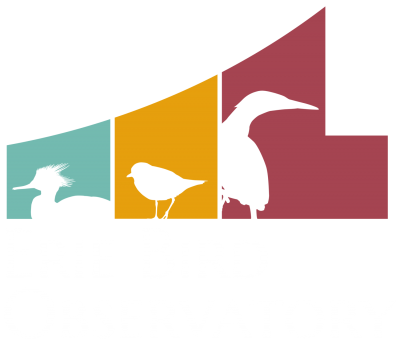 Winter Birding w/ EBO: Gull Point Hike