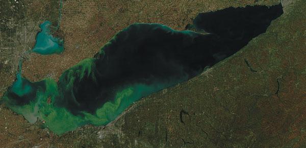 Lake Erie is one of our region's most treasured natural resources, but it is under threat from runoff, causing toxic algae blooms 
