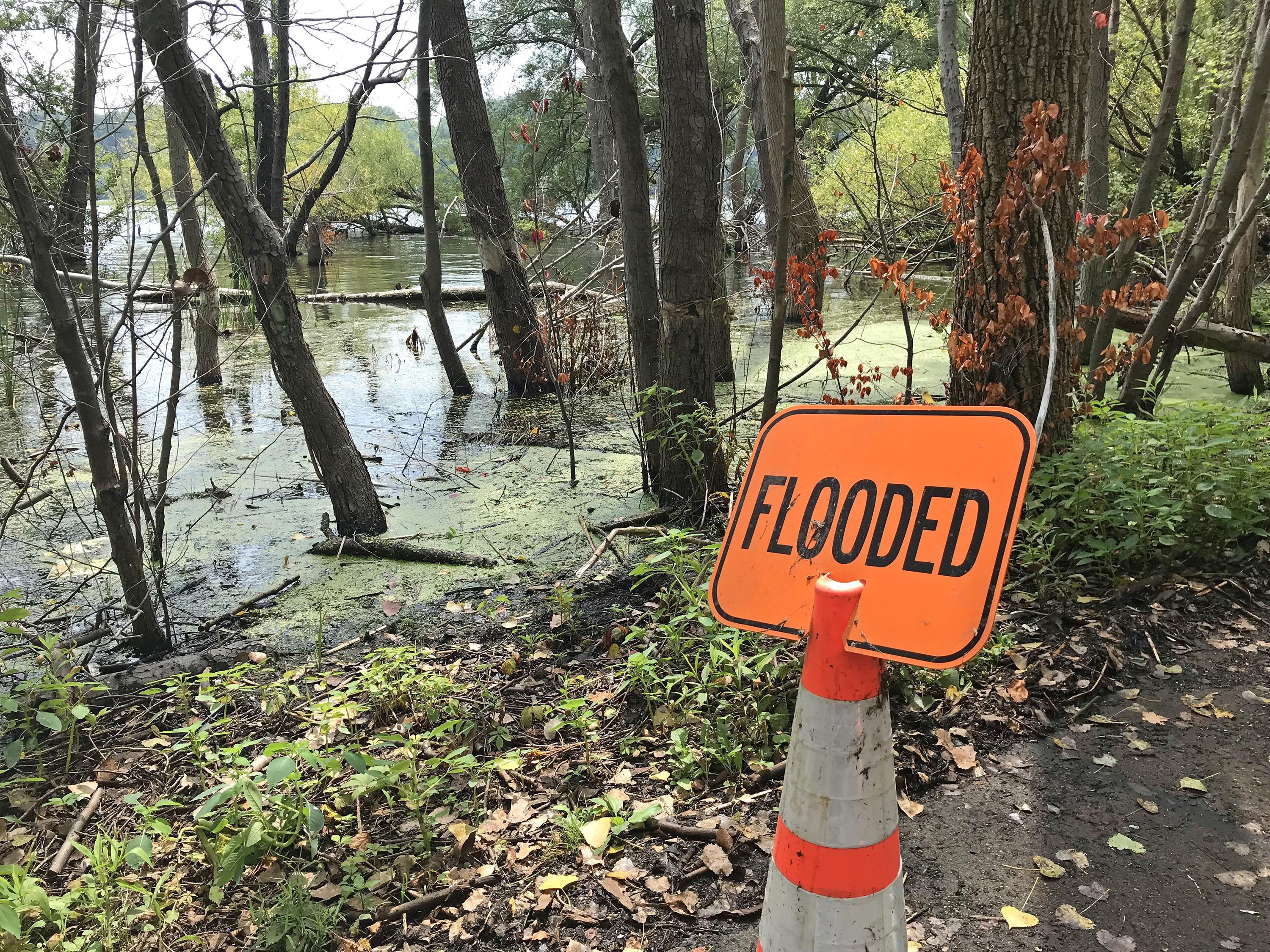 The Lowdown On High Water Erie Reader