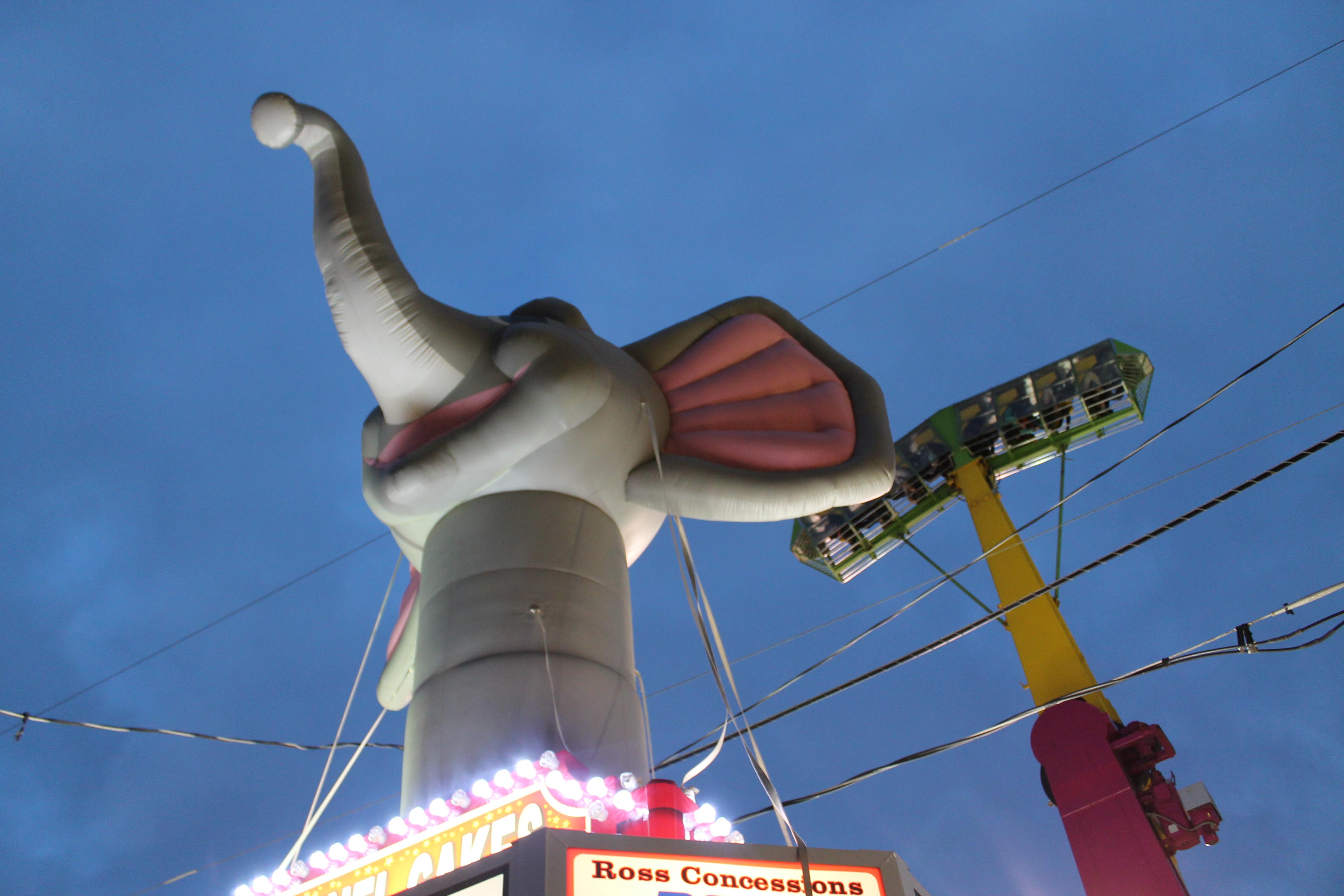 Tonight's the night at the Albion Fair Erie Reader