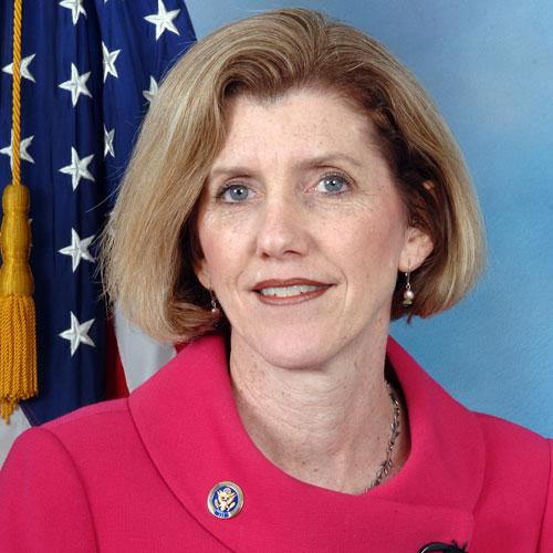 q-a-with-erie-county-executive-candidate-kathy-dahlkemper-erie-reader
