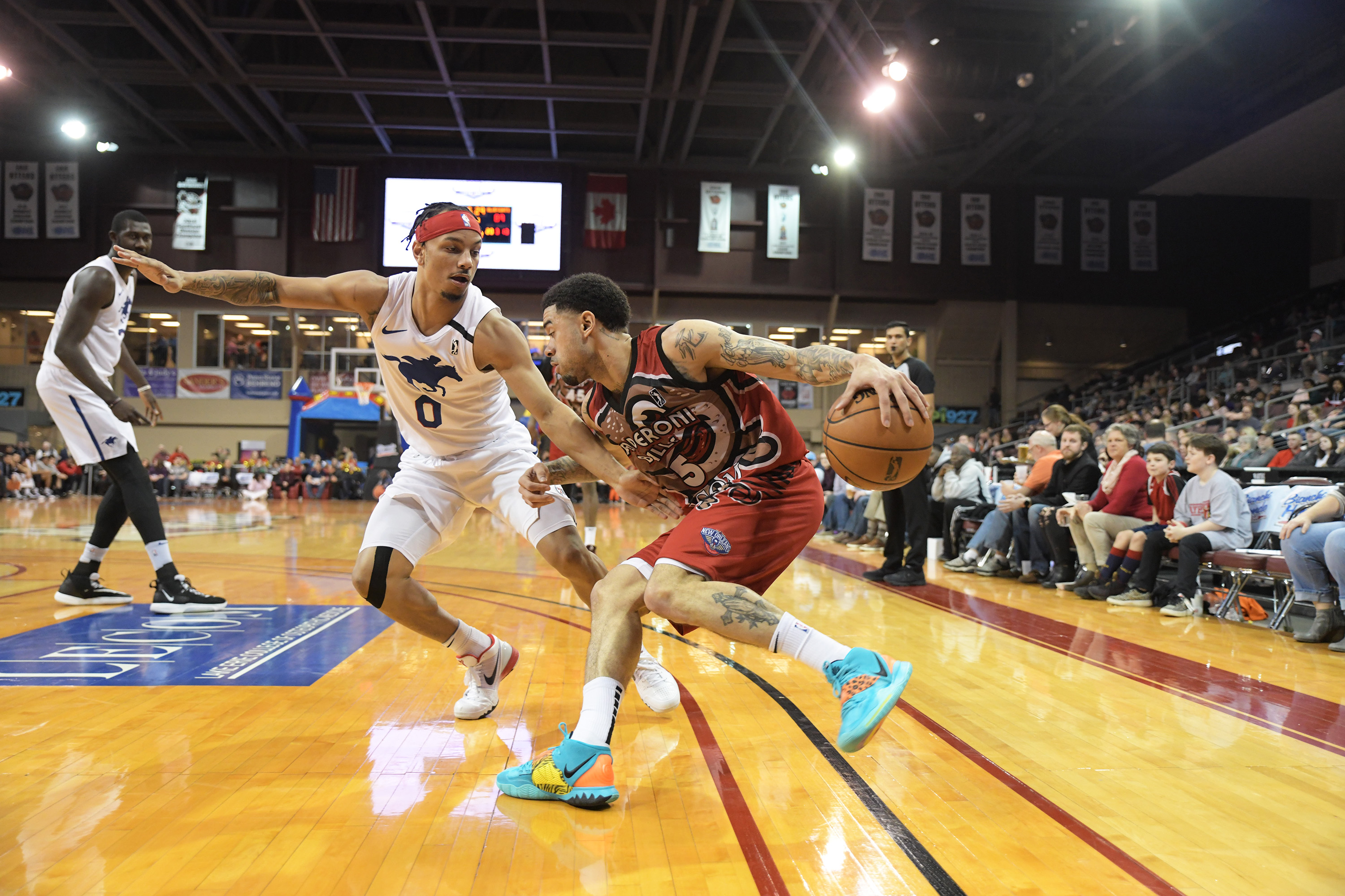Erie BayHawks Bring Big Time Talent to Town