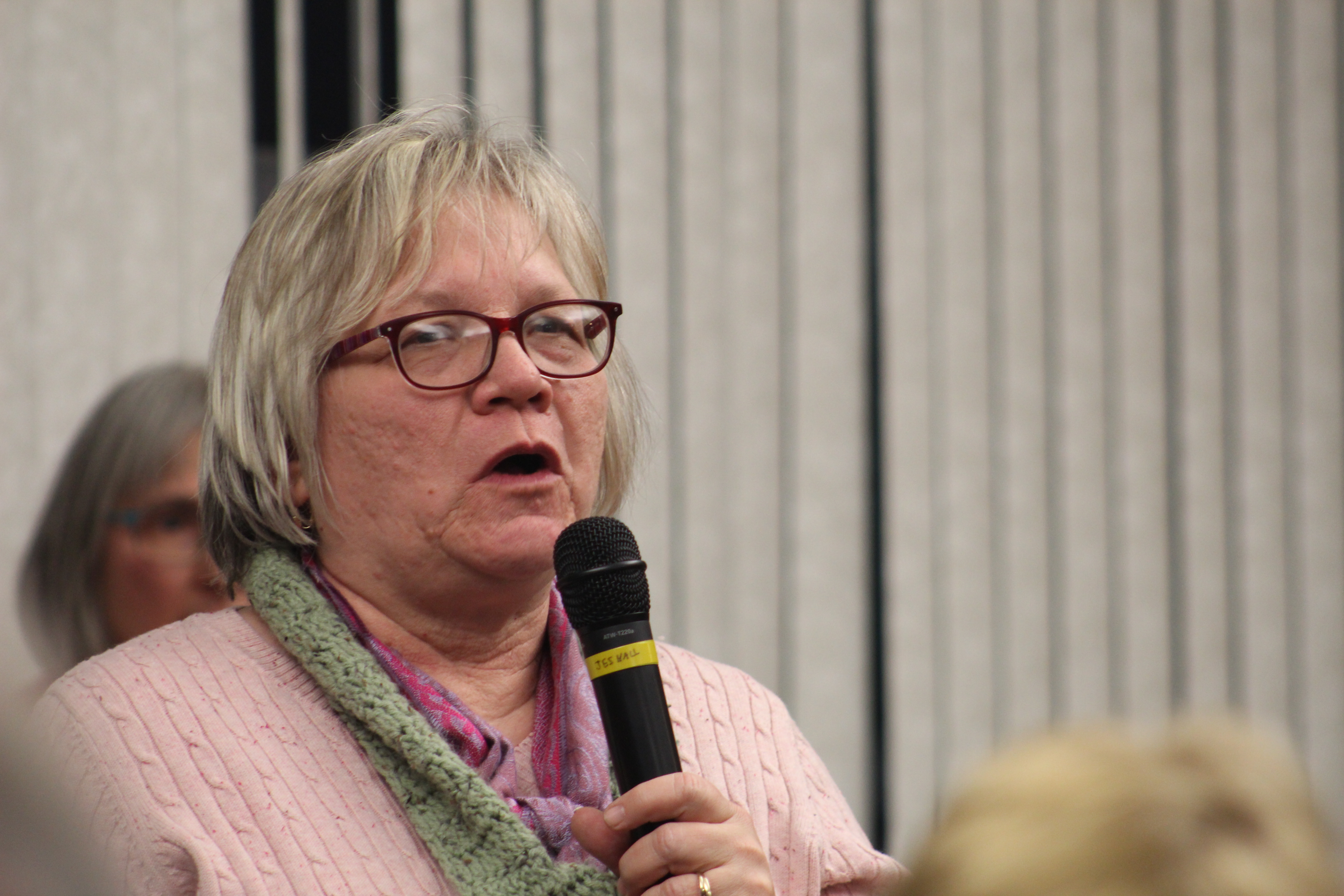 Erie City Councilwoman Kathleen Schaaf