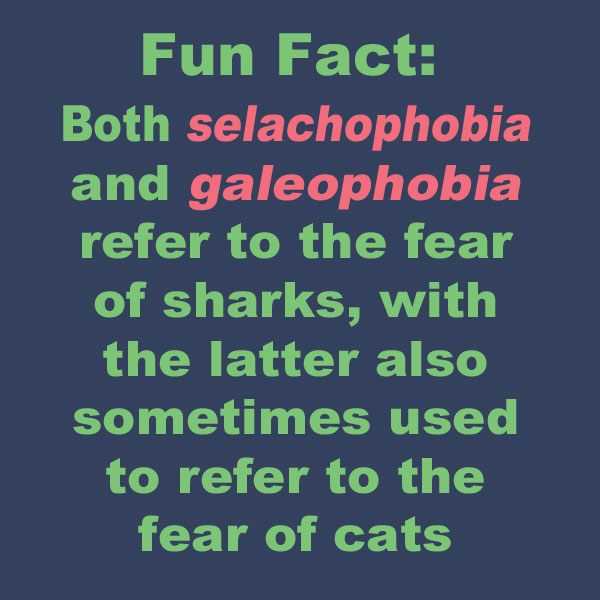 Fun Fact