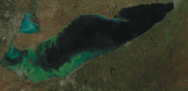 Lake Erie is one of our region's most treasured natural resources, but it is under threat from runoff, causing toxic algae blooms 