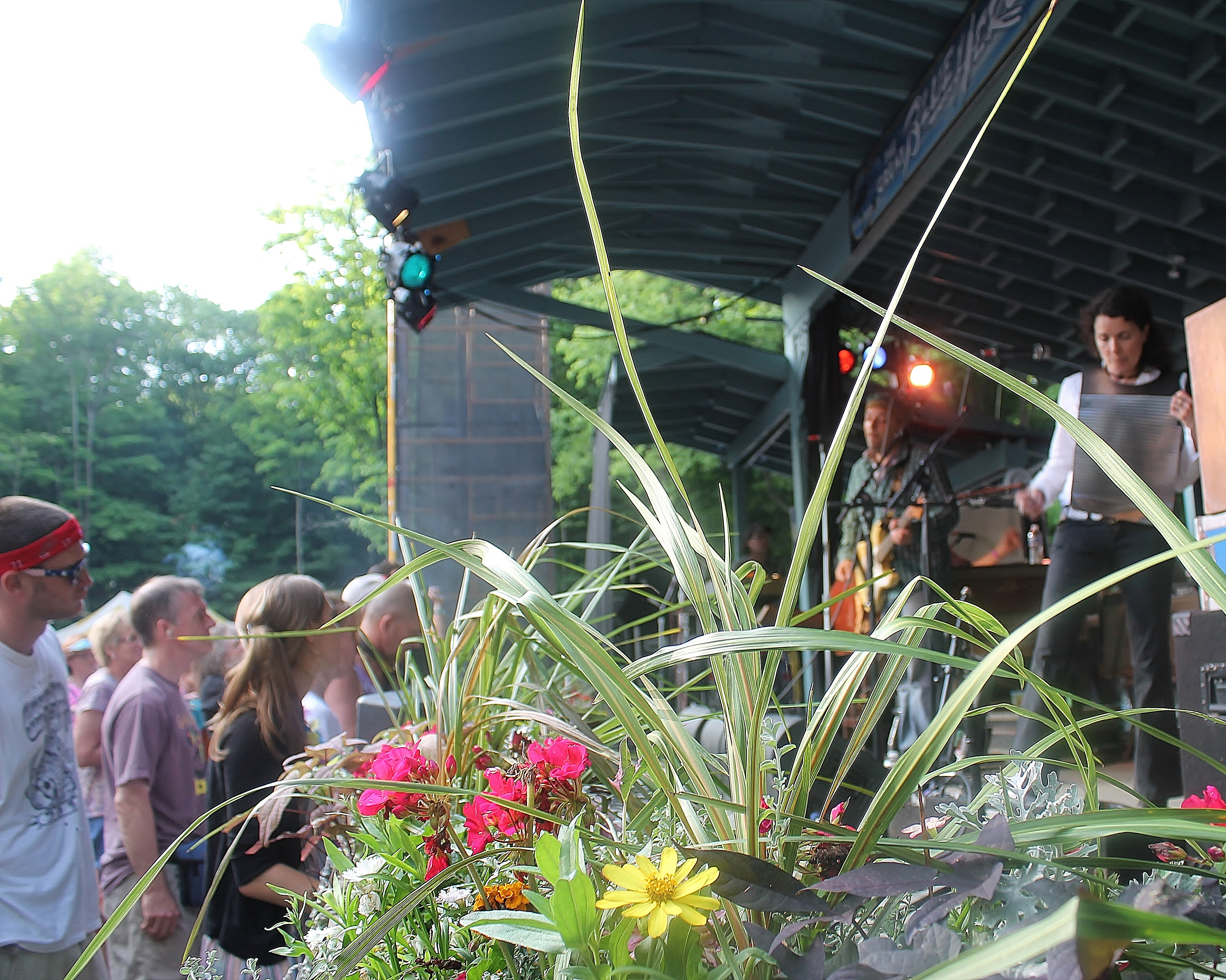 Great Blue Heron a Festival for the Generations Erie Reader