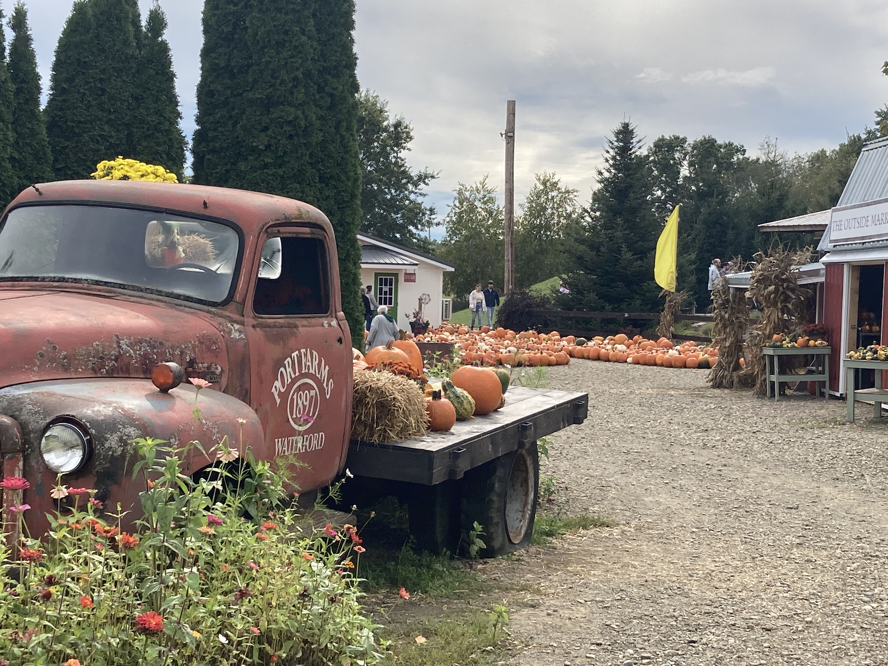 Halloween Activities to Get You Into Spooky Season Erie Reader