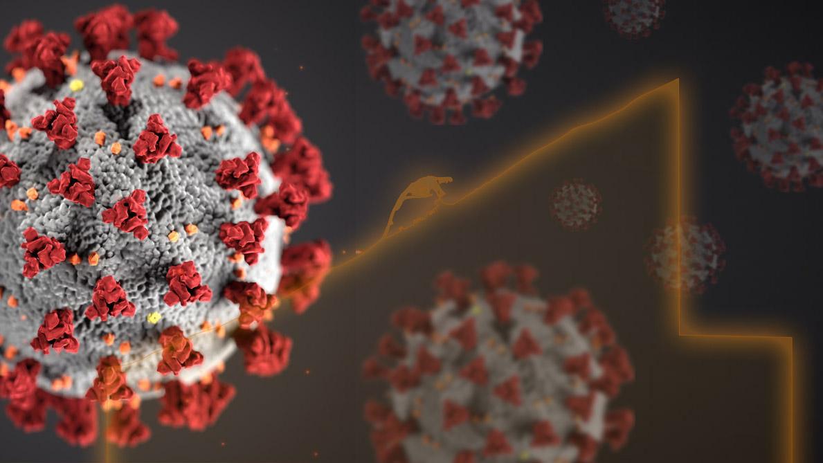 42 New Cases of COVID19 Reported in Erie County Erie Reader