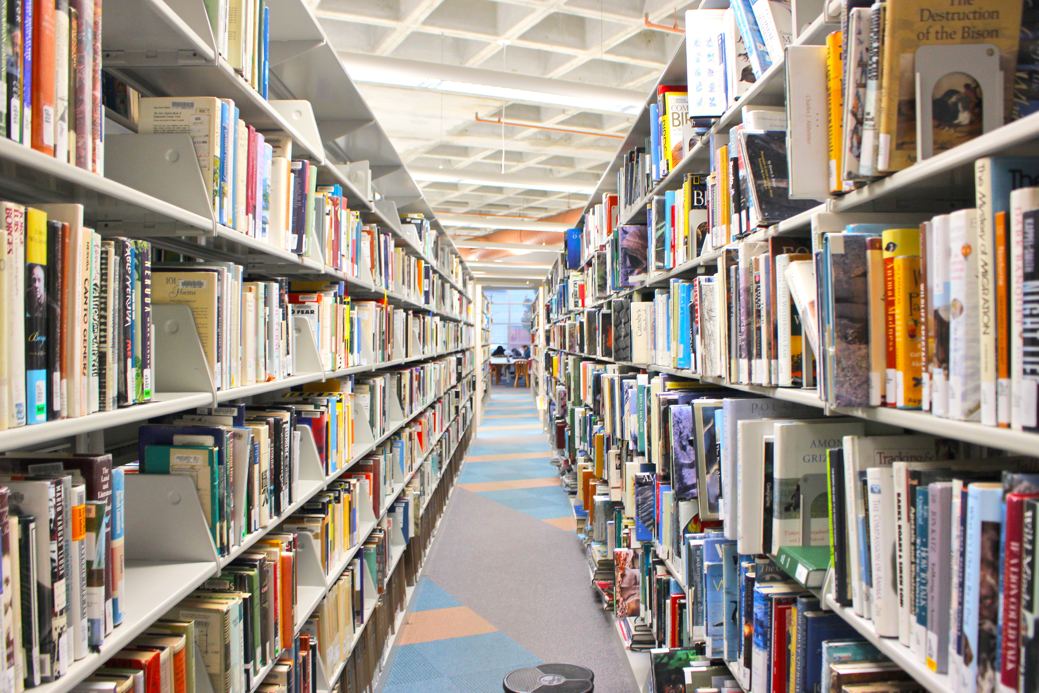 library tour guide