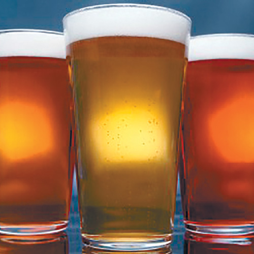 The 10th Annual Erie Micro Brew Festival Brings Brewers and Beer Lovers