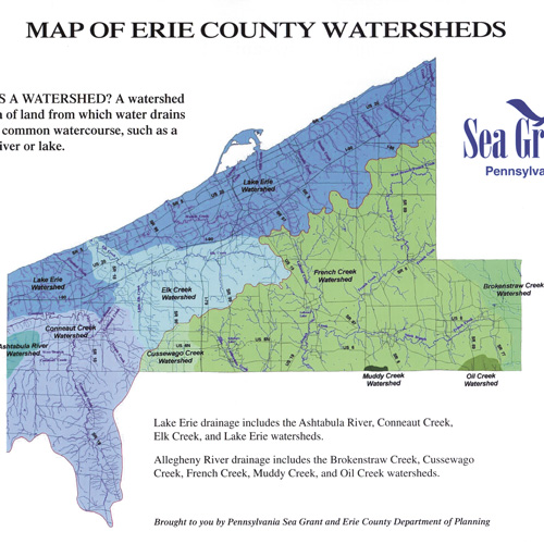 Erie at Large: Cruel Truths and Comfortable Delusions - Erie Reader