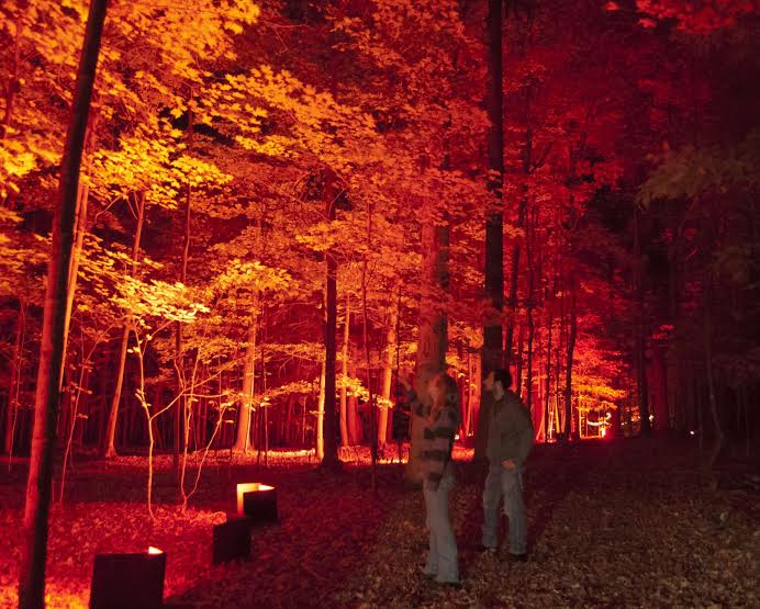 Night Lights Music Festival Set to Entertain Eyes and Ears Erie Reader