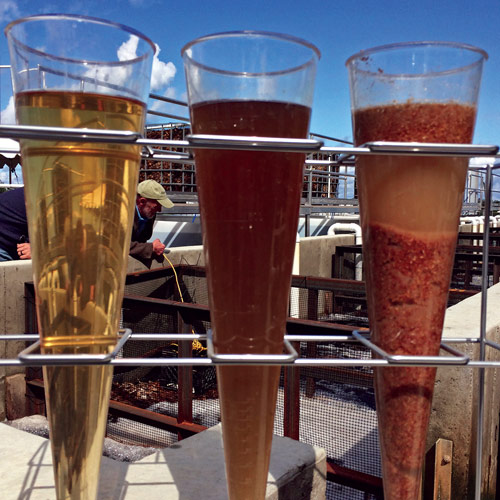 TimberFish Rises To The Surface - Erie Reader