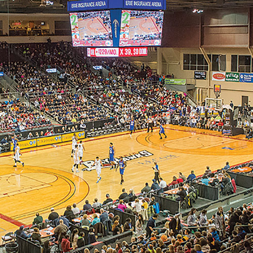 What to Expect From the New BayHawks - Erie Reader What to Expect From the New BayHawks - Erie Reader