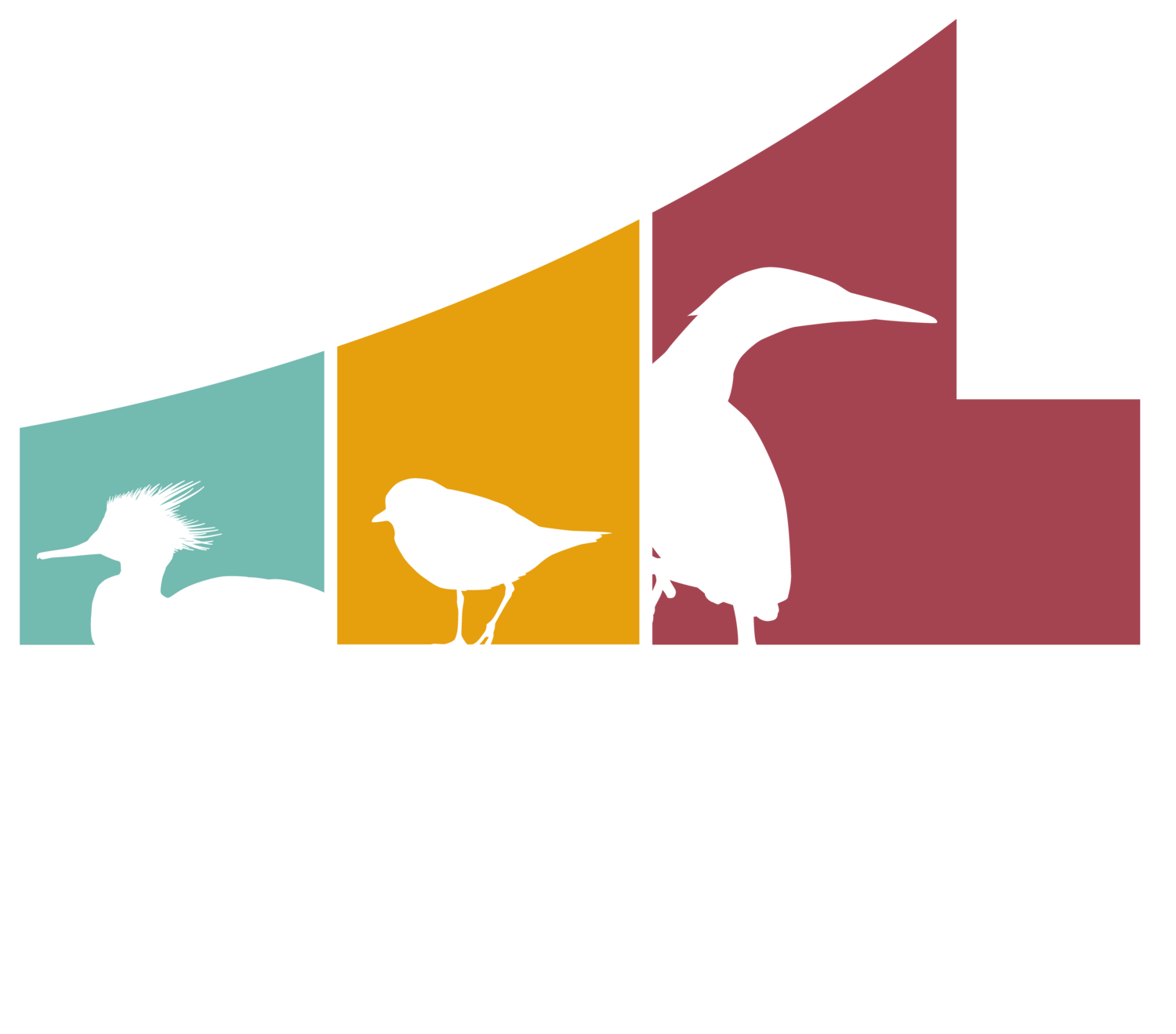 Celebrate Spring Birding Fundraiser for Erie Bird Observatory Events